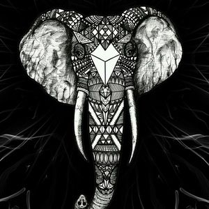 Meet your Posher, Kaitlynn